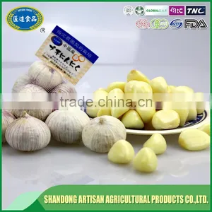 Low Price New Crop Solo Garlic for Wholesales thumbnail-2