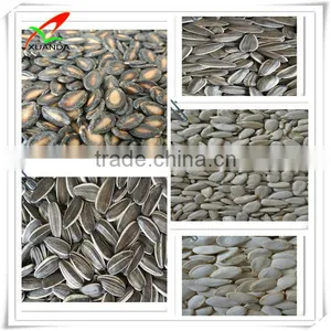 Water Melon Seed Kernels thumbnail-3