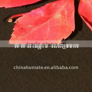 Solid Sodium Humic Acid (HA-Na) Manure thumbnail-1