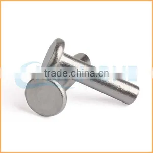 Factory Supply Best Price Customized Metal Solid Rivets thumbnail-2