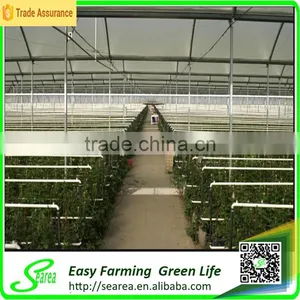 Pc Covering Green House for Planting thumbnail-1