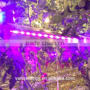 Vanq Grow Light Bar 150w Hydroponics Led Plant Waterproof High Power Greenhouse Lamp thumbnail-1