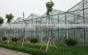 Smart Glass Greenhouse thumbnail-1