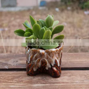 New Design Small Ceramic Indoor Decorative Pots Planters thumbnail-1