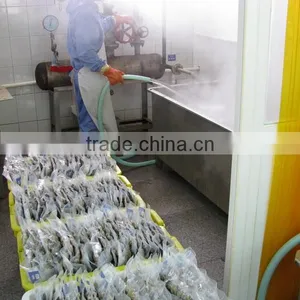 High Frozen Vacuum Packed Short Necked Clam thumbnail-4