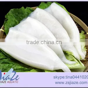 Frozen Squid Tube- Todarodes Pacificus thumbnail-1