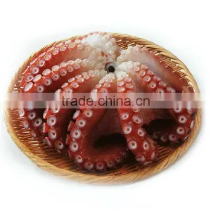Health Certificate Seafood Frozen Octopus thumbnail-6