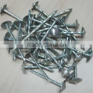 Galvanized Umbrella Head Roofing Nails From Guangzhou Supplier thumbnail-1