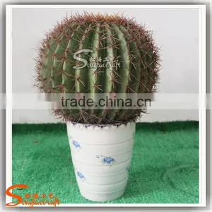 China Supplier Hot Sale Artificial Mini Cactus Plant Bonsai for Indoor and Outdoor thumbnail-2