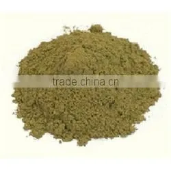 Ocimum Sanctum Extract thumbnail-1
