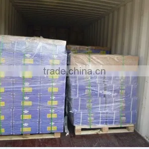 Organic EU Standard Chunmee Green Tea 9366 thumbnail-6