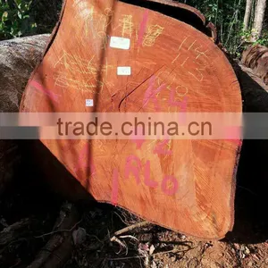 Suriname RLO / Rode Locus Log thumbnail-1