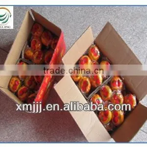 Mini Size Baby Juicy Orange thumbnail-6