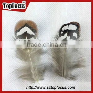 Hot Sale Dyed Wholesale Natural Cheap Artificial Pheasant Feathers Prices thumbnail-6