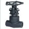 Forged Steel A105 Threaded Gate Valve(sale@bjvalves.com) thumbnail-1