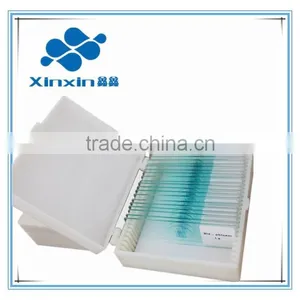 Biological Slides Microscope Slides and Cover Glass thumbnail-1