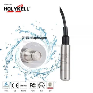 Holykell Hydrostatic 150PSI 0-5v Water Level Meter thumbnail-1