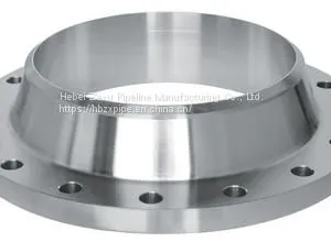 Long High Neck Flange High Quality OEM Precision Cast Steel Female Weld Long High Neck Flange thumbnail-2