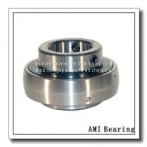 AMI Bearings thumbnail-1