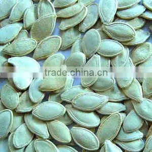 Organic Pumpkin Kernel thumbnail-1
