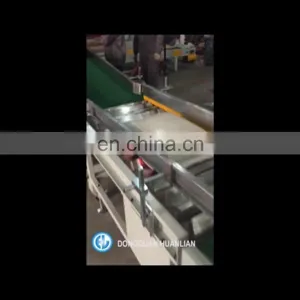 Automatic Gantry One Header Top Surface Online Labeling Machine thumbnail-1