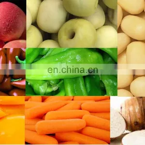 Automatic Potato Steam Peeling Machine High Productive Potatoes Sweet Tomato Steam Peeler Machine thumbnail-5