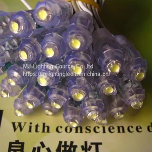 LED Decoration Light 9mm 12mm LED Pixel Strings White Color 5V 12V Lightings For Outdoor Signage thumbnail-5