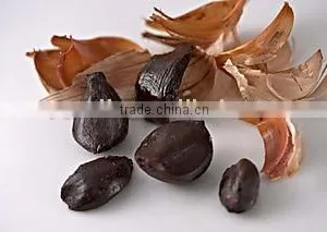 Chinese Black Garlic thumbnail-1
