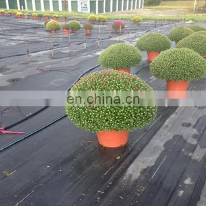100% New Hdpe Anti Grass Ground Cover Polypropylene Woven Mat Pp Plastic thumbnail-1