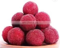 Fruit Juice Myrica Rubra Juice Production Line thumbnail-5