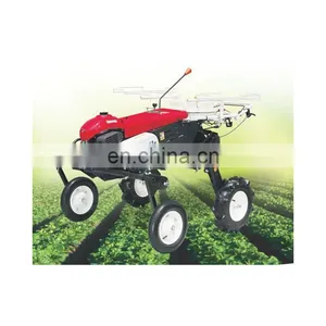 Eggplant Transplanter Machine thumbnail-1