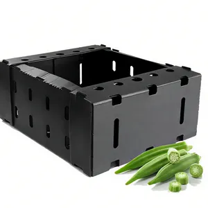 Custom PP Corrugated Plastic Okra and Vegetable Packing Boxes – Wholesale Manufacturer thumbnail-2