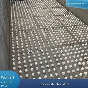 Supply of Abs Integral Cast Filter Plates for Biological Filter Equipment, Suitable for V-type Filters and Sand Filters thumbnail-1