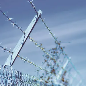 Galvanized 12.5 Gauge Single Strand Barbed Wire Fence Roll Pvc Coated Barbed Wire Fence thumbnail-6