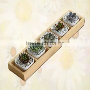 Wooden Planter Box Succulent Plants in Pots thumbnail-3