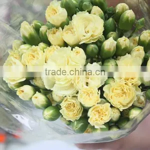 Colorful Hot Sale Flowers Carnation Wedding Flowers thumbnail-4