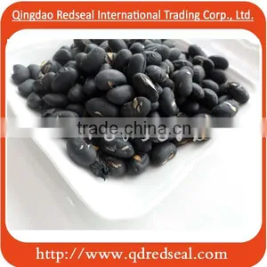 Roasted Black Bean thumbnail-3