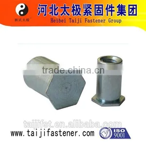China Manufacture Hex Head Rivet thumbnail-1