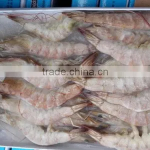 Sea Frozen Vannamei White Shrimp thumbnail-1