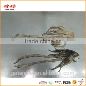 Frozen Squid Tentacle - Ommastrephes Bartrami thumbnail-2