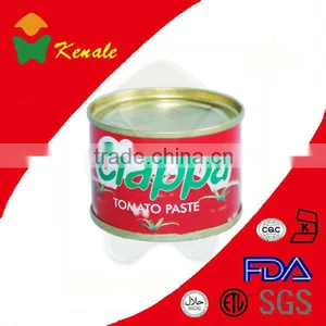 Tomato Paste Factory Good Quality/good Service 70gX50tins thumbnail-1