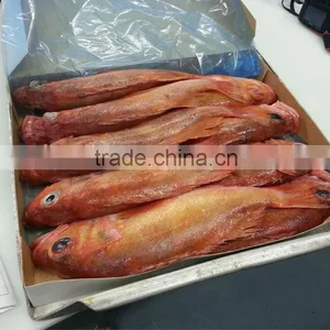 RedFish Whole Round thumbnail-2