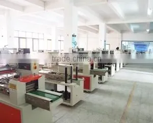Swiss Roll Cake Packaging Machine DCTWB-250X thumbnail-4