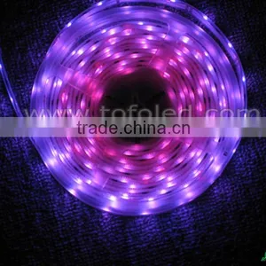 Each IC Control One Led Strip Ws2801 thumbnail-1