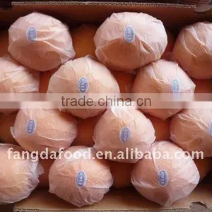 Best Price for Navel Orange thumbnail-1