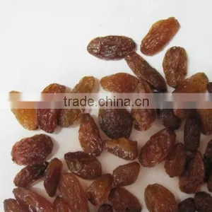 Kington Fruit -sultana Raisin -raisin ,golden Raisin .green Raisin . thumbnail-1