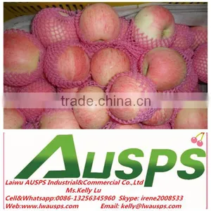 New Crop China Royal Gala Apple thumbnail-1