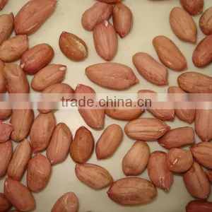 Groundnut Price in China thumbnail-1