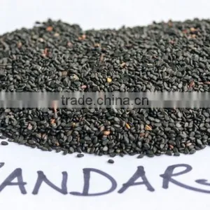 Black Sesame Seeds (Standard Quality) thumbnail-2