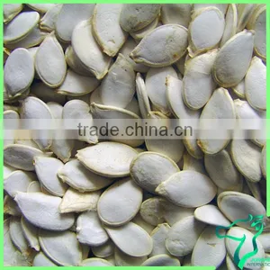 High Quality Pumpkin Seeds In Shell 2016 New Crop thumbnail-1